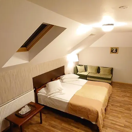 Pensiunea Mușatinii Pensiune Putna (Suceava)